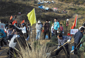 2009年(nián)威海(hǎi)店(diàn)植樹(shù)活動
