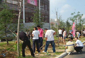 2010年(nián)威海(hǎi)店(diàn)植樹(shù)活動
