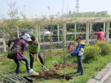 永旺煙(yān)台購(gòu)物(wù)中心2014植樹(shù)季,愛(ài)心植樹(shù)活動
