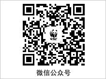 “為(wèi)藍(lán)生(shēng)活”關愛(ài)環境-地(dì)球一(yī)小(xiǎo)時(shí)活動