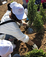 2018“永旺故鄉(xiāng)林(lín)”植樹(shù)活動