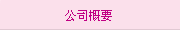 公司概要(yào)