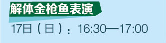 解體(tǐ)金(jīn)槍魚表演 17日(rì)（日(rì)）：16:30-17:00