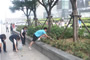 令人(rén)欣慰的(de)是(shì)本次活動還(hái)吸引了(le)一(yī)些(xiē)年(nián)輕的(de)環保志(zhì)願者參加。
