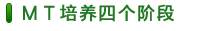 MT培養四個(gè)階段