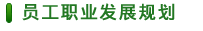 員(yuán)工(gōng)職業(yè)發展規劃